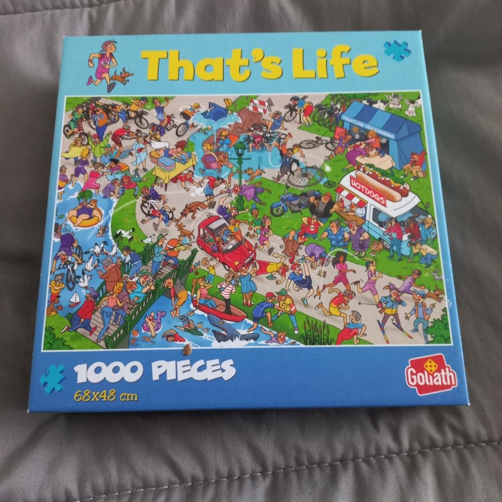 Puzzel, Hobby en Vrije tijd, Denksport en Puzzels, Ophalen, 500 t/m 1500 stukjes