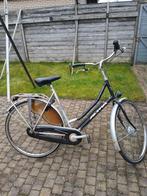 Altra, Versnellingen, Ophalen, Overige merken, 53 tot 56 cm