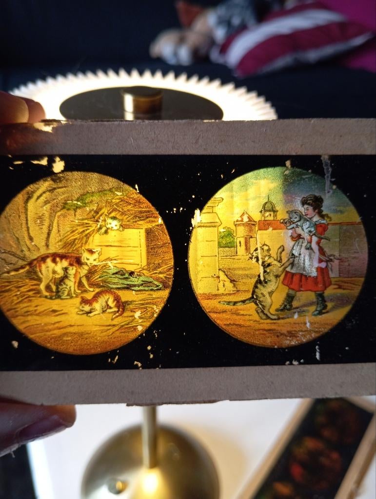 Oude Toverlantaarnplaat - Honden en Katten, Ophalen of Verzenden