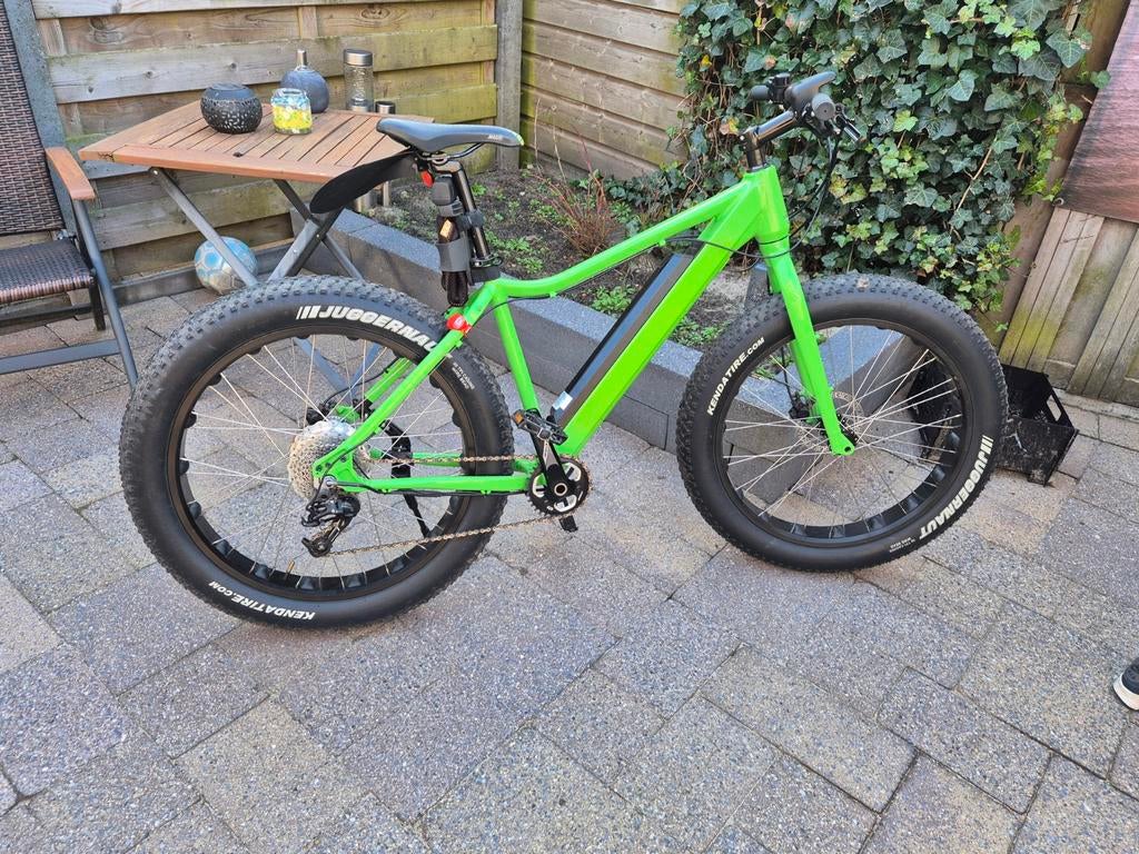 Groene elektrische fatbike / mountainbike, Ophalen
