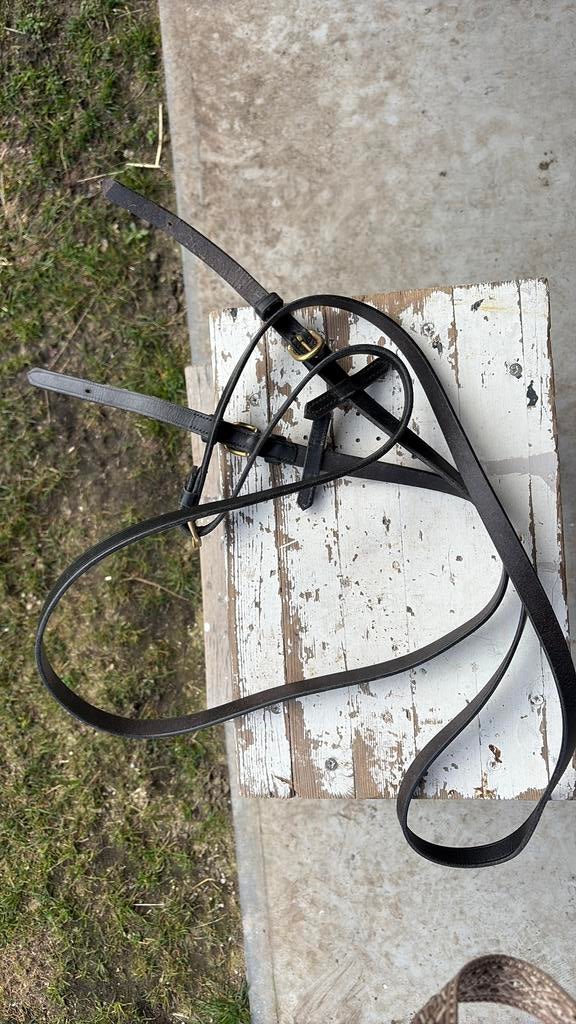 Zwarte leren teugels koperen gespen, Ophalen of Verzenden, Zo goed als nieuw