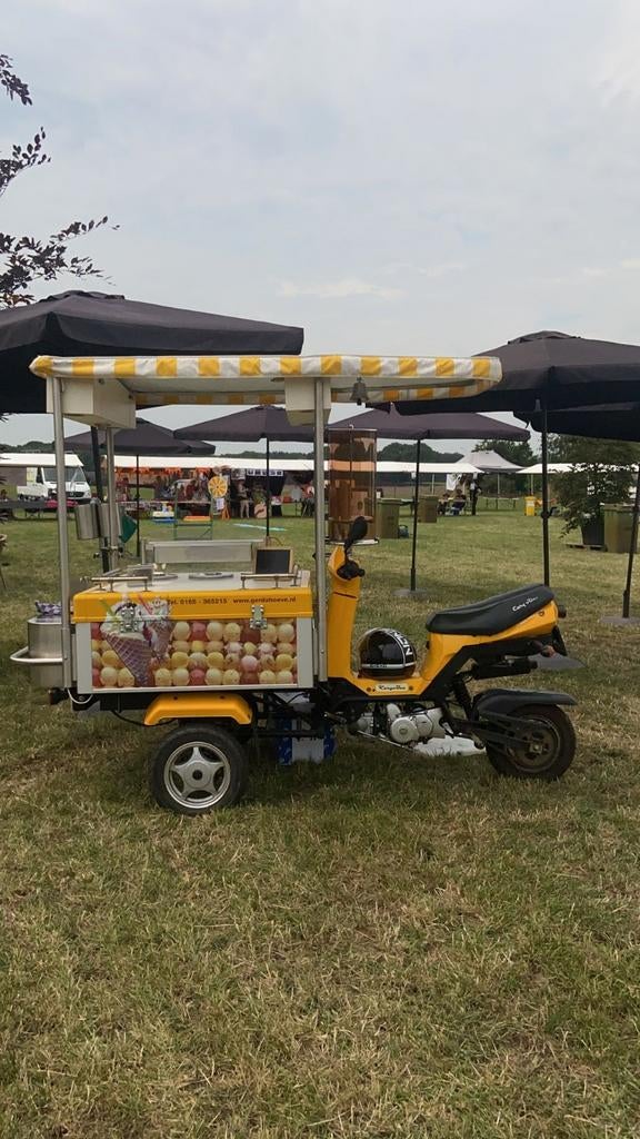 Te koop schepijs Scooter - 50L schepijs, Ophalen, Koelen en Vriezen