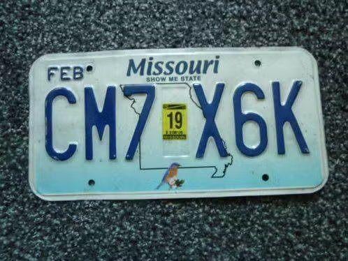 Kentekenplaat licenseplate Missouri Bluebird USA, Verzenden, Gebruikt, Auto's