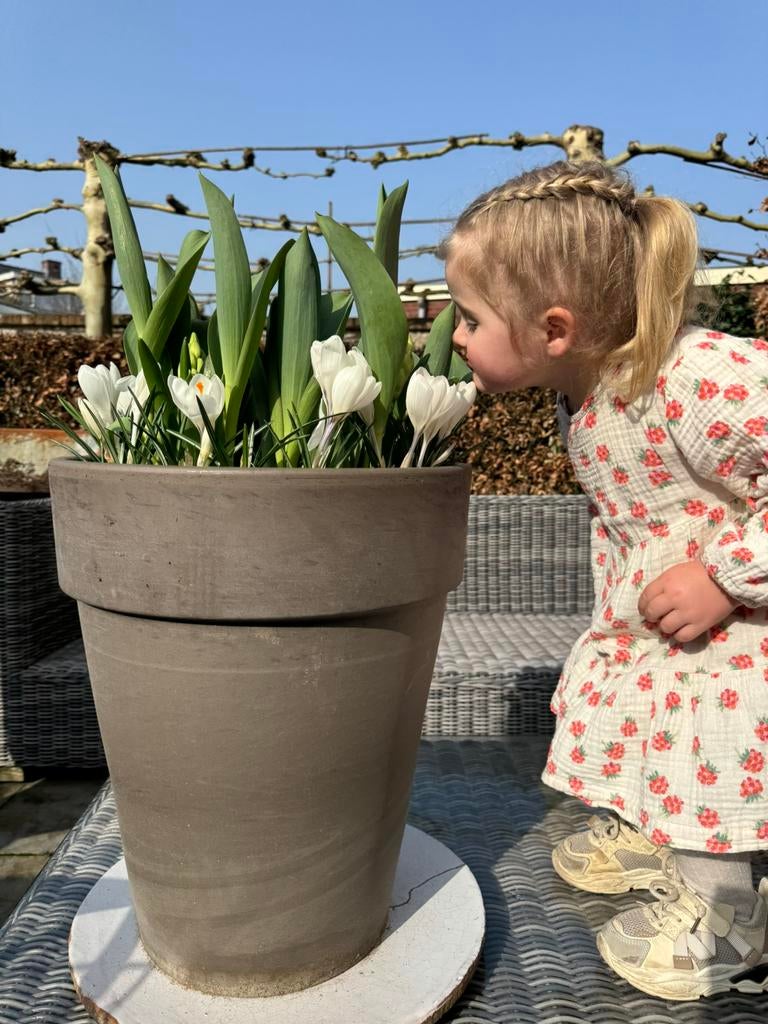 Stekpotjes/kweekpotjes plastic bloempotjes, Ophalen of Verzenden