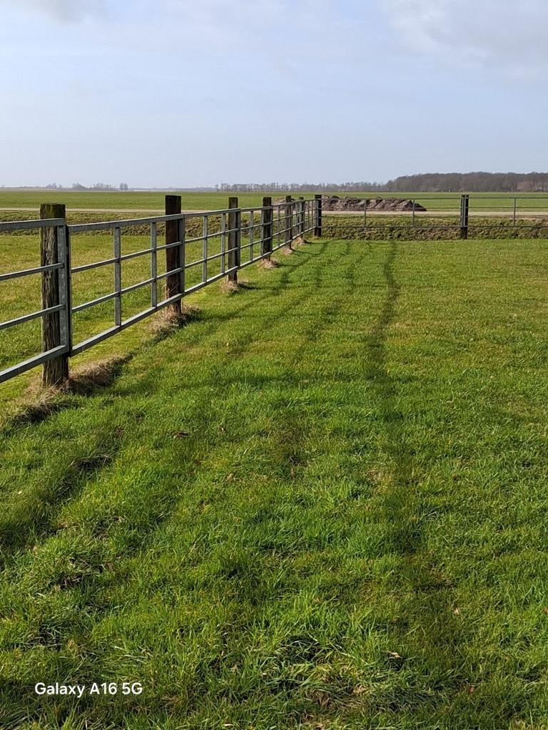 Veehekken gegalvaniseerd, Dieren en Toebehoren, Stalling en Weidegang