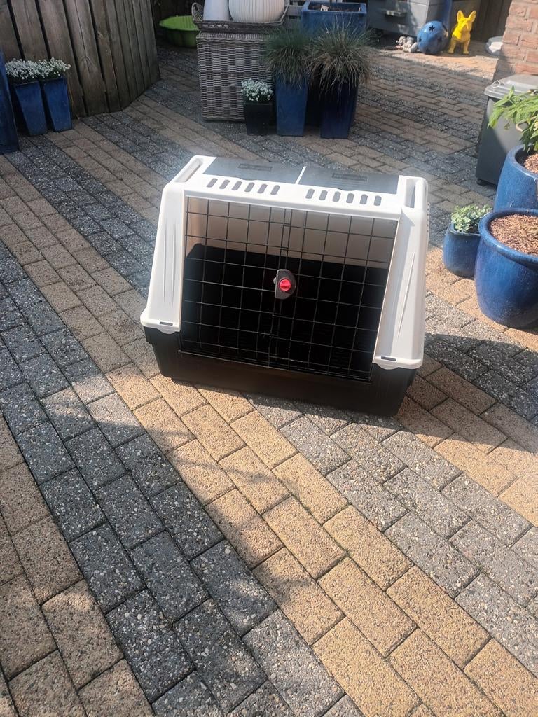 Ferplast kunstof hondenbench, Dieren en Toebehoren, Ophalen, 110 cm of meer, Minder dan 65 cm