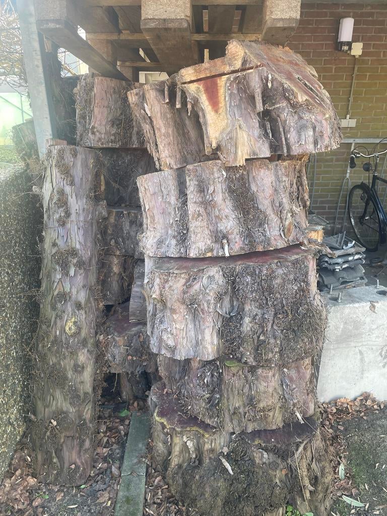 Taxus hout gezaagd, droog onder afdak (20-100cm), 3 tot 6 m³, Ophalen, Overige houtsoorten, Stammen