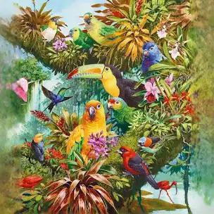 Diamond painting Toucan en andere vogels., Ophalen of Verzenden, Zo goed als nieuw, Knutselwerk