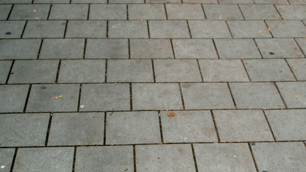 Stoeptegels gezocht, Ophalen of Verzenden, Beton, Terrastegels