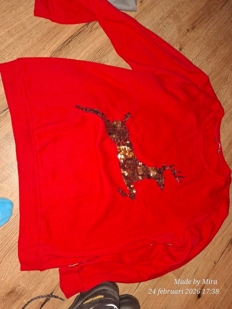 Gratis kerst trui, Ophalen of Verzenden, Rood, Lange mouw