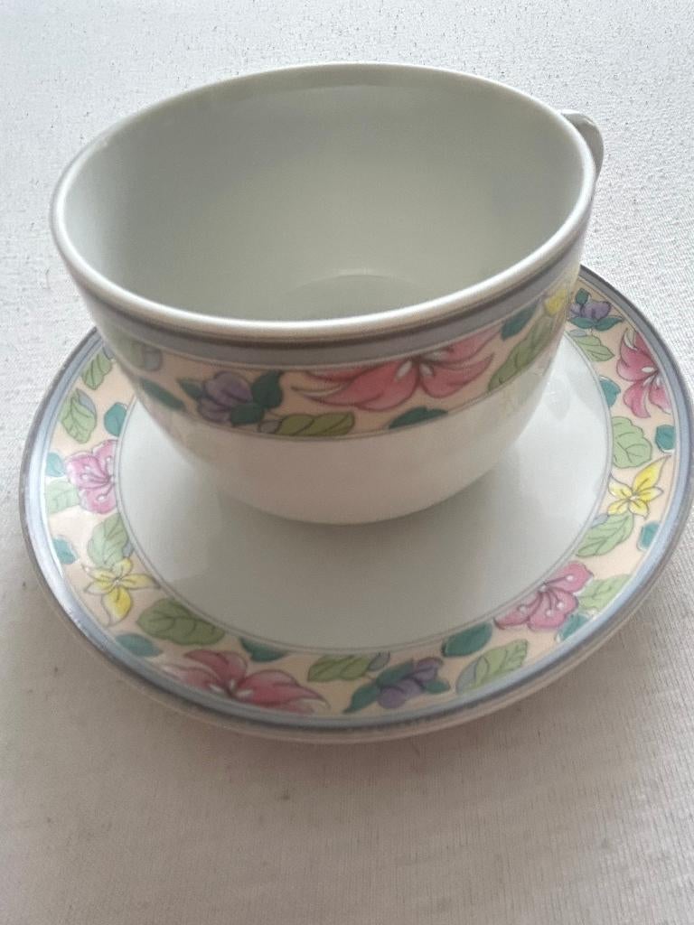 Alt Regenburg kop en schotel, Ophalen of Verzenden, Zo goed als nieuw, Porselein, Kop en/of schotel