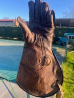 valkenier spullen, Meerdere dieren, Roofvogel