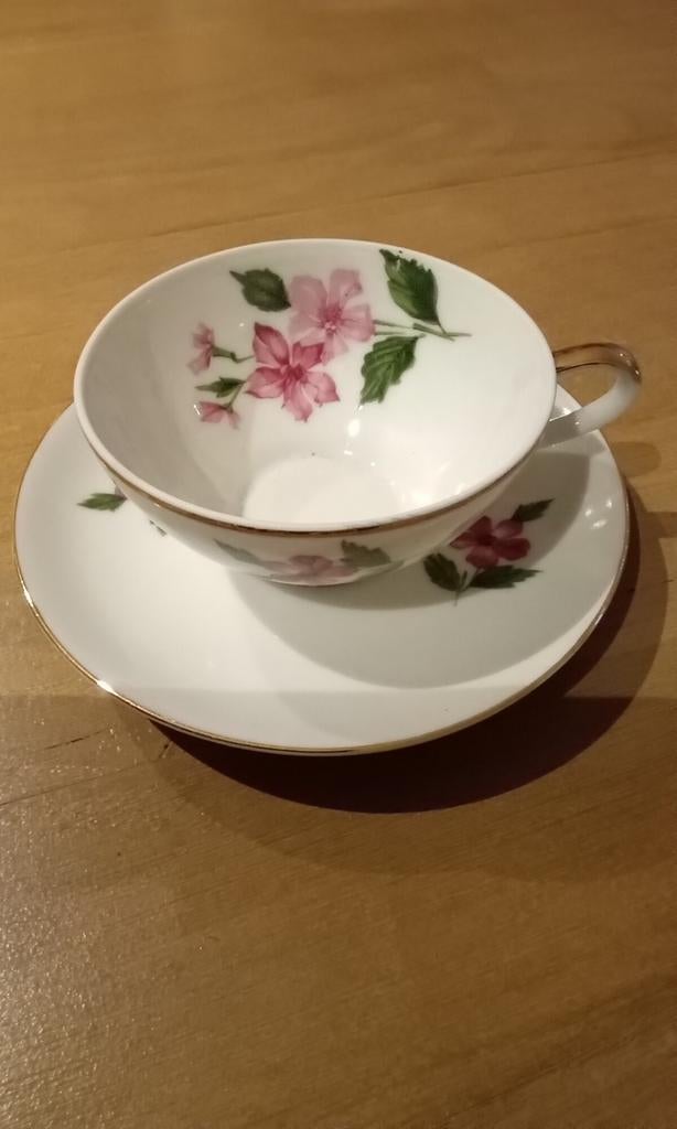 Kop en schotel, Ophalen of Verzenden, Zo goed als nieuw, Porselein, Kop en/of schotel