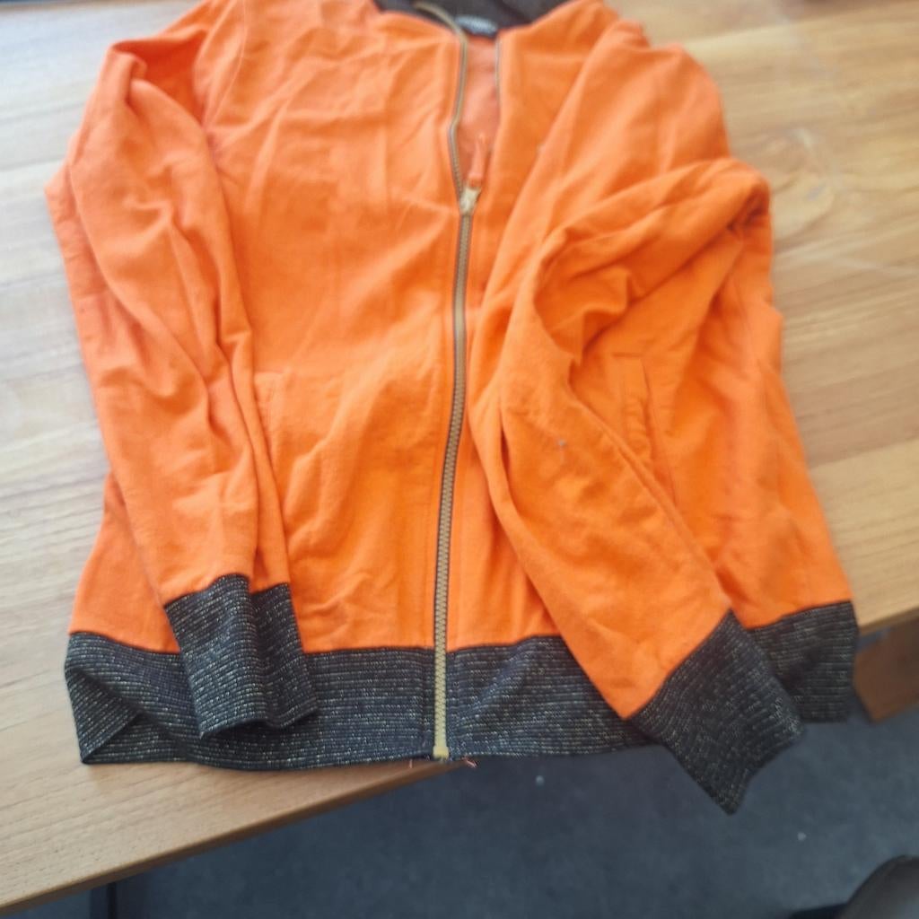 Oranje vest, Ophalen of Verzenden, Oranje of Koningsdag