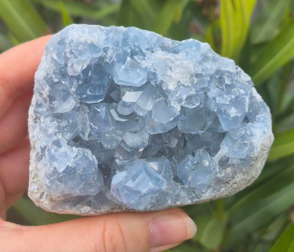 Celestien, Verzamelen, Mineralen en Fossielen, Ophalen of Verzenden