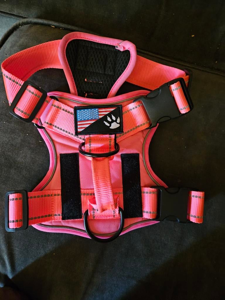 NIEUW HONDENTUIG VOOR MEDIUM HOND, Ophalen of Verzenden, Nieuw