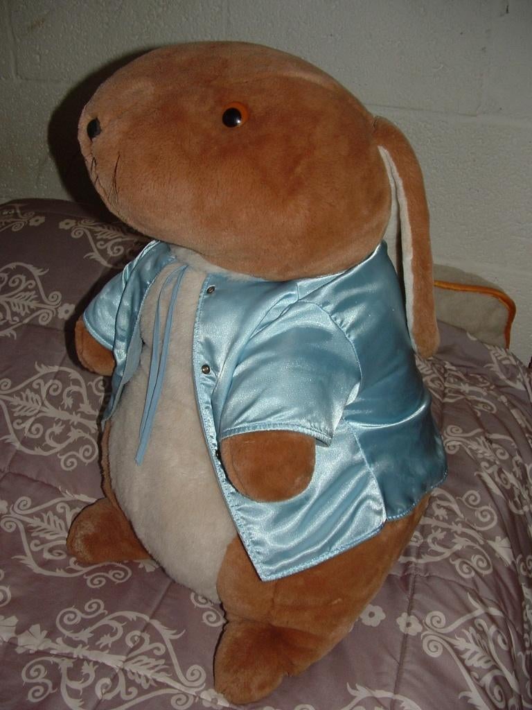 EDEN PETER RABBIT KONIJN BEATRIX POTTER FREDRICK WARNE, Ophalen of Verzenden, Nieuw, Overige typen