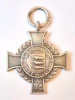 Zilveren schaats medaille Het Bildt Dorpen tocht Friesland, Ophalen of Verzenden, Zilver, Nederland