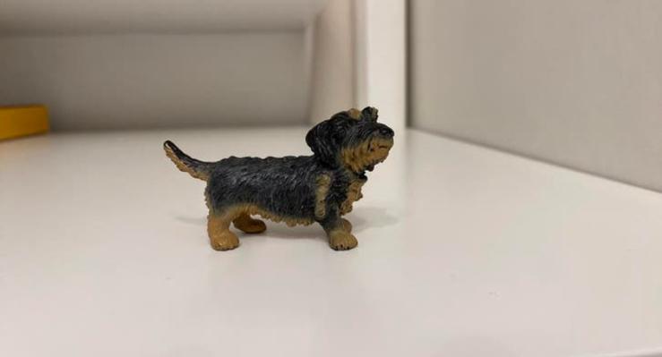 Schleich Ruwhaar Teckel ~ 16317 10b, Ophalen of Verzenden, Zo goed als nieuw, Paard, Beeldje of Figuurtje