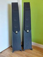 Avalon Acoustics Symbol High end luidsprekers, Zo goed als nieuw, 120 watt of meer, Front, Rear of Stereo speakers, Ophalen