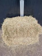 Kleine baaltjes hooi te koop., Ophalen, Vee