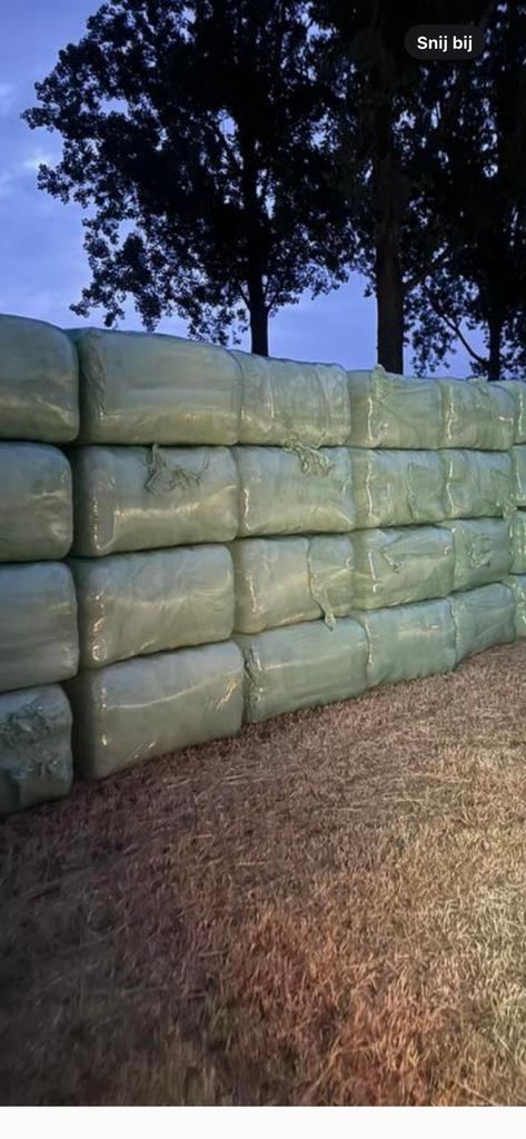 Grote vierkante balen hooi, Dieren en Toebehoren, Dierenvoeding, Ophalen of Verzenden, Vee