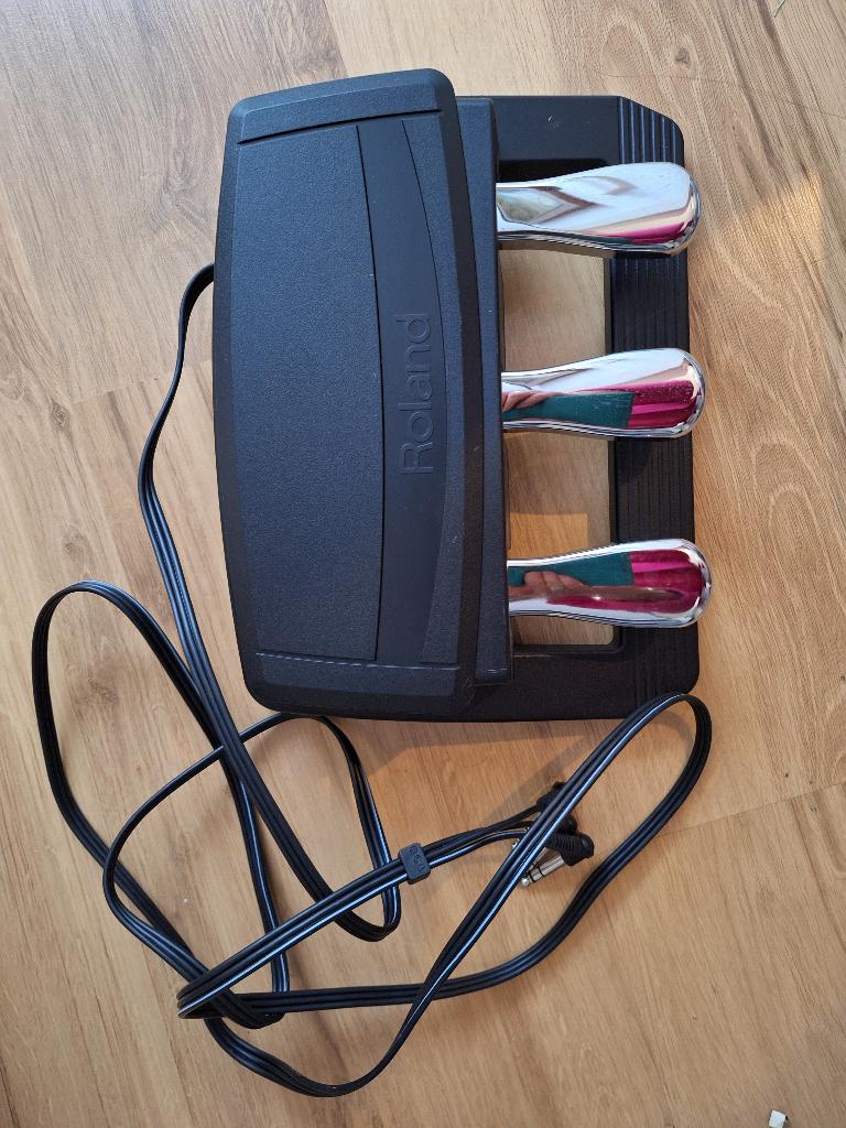 Roland vleugelpedaal, Ophalen of Verzenden, Zo goed als nieuw, Elektrische gitaar