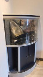 Hoi hoek  aquarium alles erbij 180 l, Dieren en Toebehoren, Vissen | Aquaria en Toebehoren, Ophalen, Zo goed als nieuw, Leeg aquarium