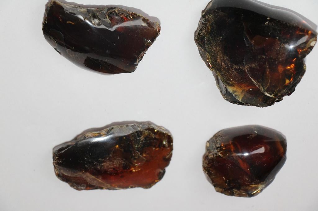 Amber (4 pcs), Ophalen of Verzenden, Fossiel