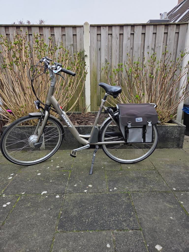 Giant Twist Double elektrische fiets, maat L (55 cm), Fietsen en Brommers, Elektrische fietsen, Ophalen, Gebruikt, Giant, 51 tot 55 cm