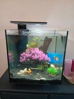 Aquarium 60 liter zonder inhoud, Ophalen, Leeg aquarium