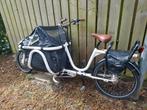 Johnny loco bakfiets voor drie kids., Ophalen, Gebruikt, 1 kind, Johnny Loco