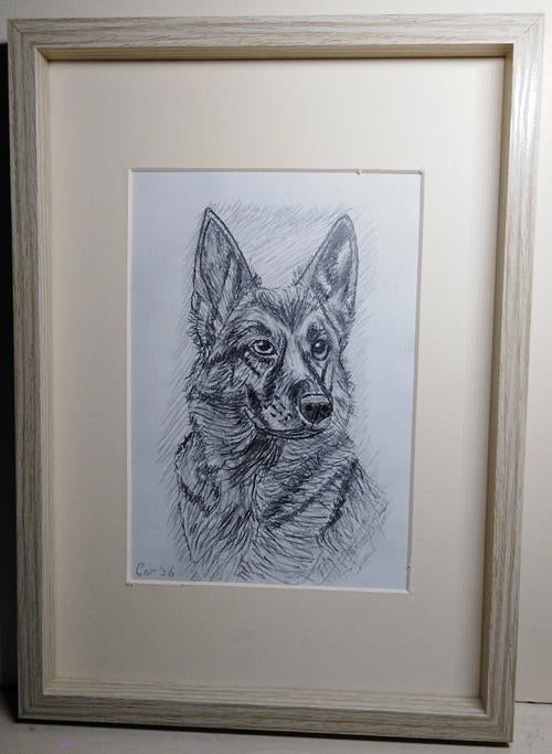 Duitse herder, Antiek en Kunst, Ophalen of Verzenden
