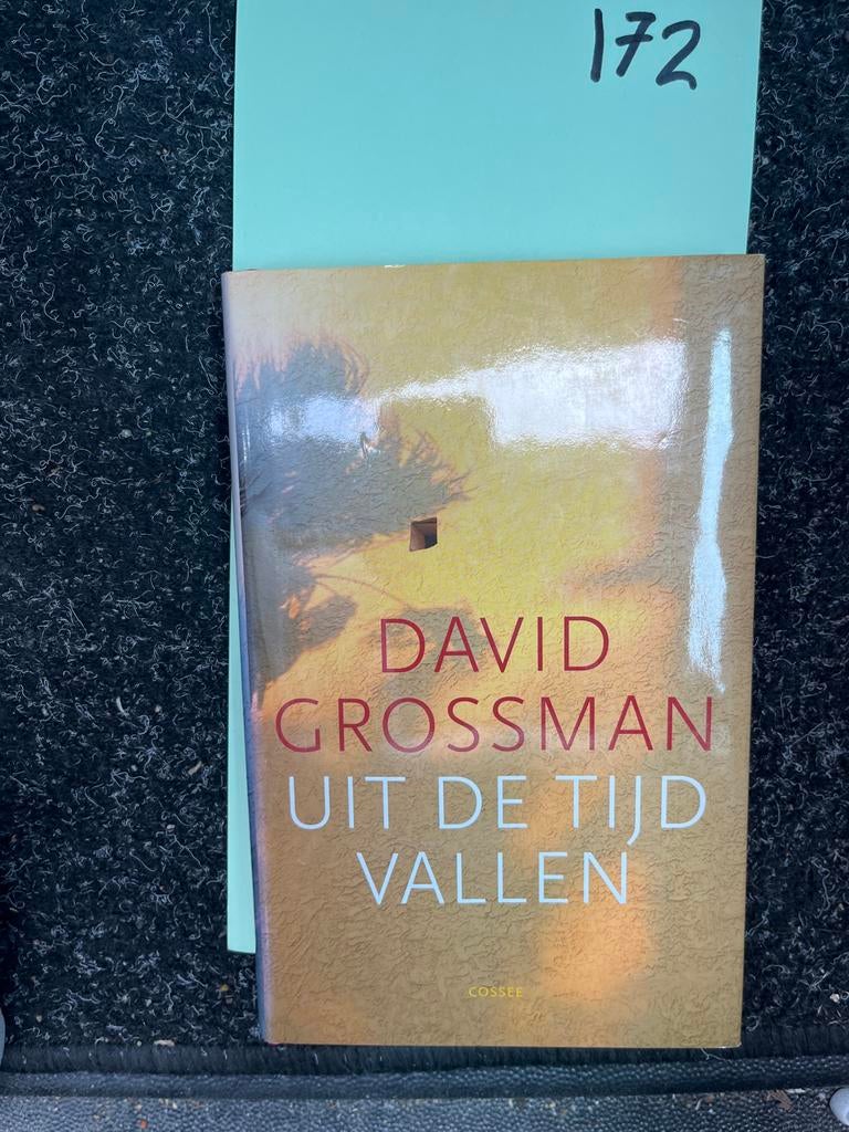 David Grossman - Uit de Tijd Vallen, Boeken, Ophalen of Verzenden, Zo goed als nieuw, Europa overig