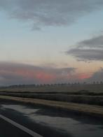 Stal/weide te koop/huur gezocht, Dieren en Toebehoren, Stalling en Weidegang, 4 paarden of pony's of meer