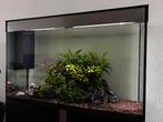 180L Ciano Aquarium, Dieren en Toebehoren, Vissen | Aquaria en Toebehoren, Ophalen, Zo goed als nieuw, Gevuld zoetwateraquarium
