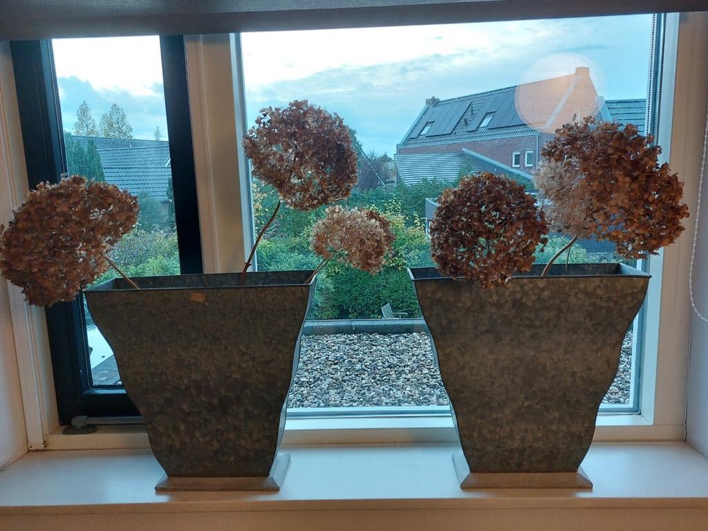 Set van 2 zinken vazen met organische vormgeving, Ophalen, Overige materialen, Gebruikt, Overige kleuren