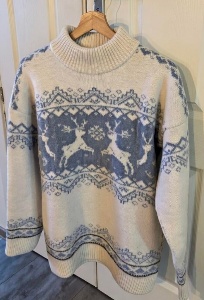 Noors wollen trui van F.lli campagnolo in maat M, Kleding | Dames, Ophalen of Verzenden, Zo goed als nieuw, Maat 38/40 (M)