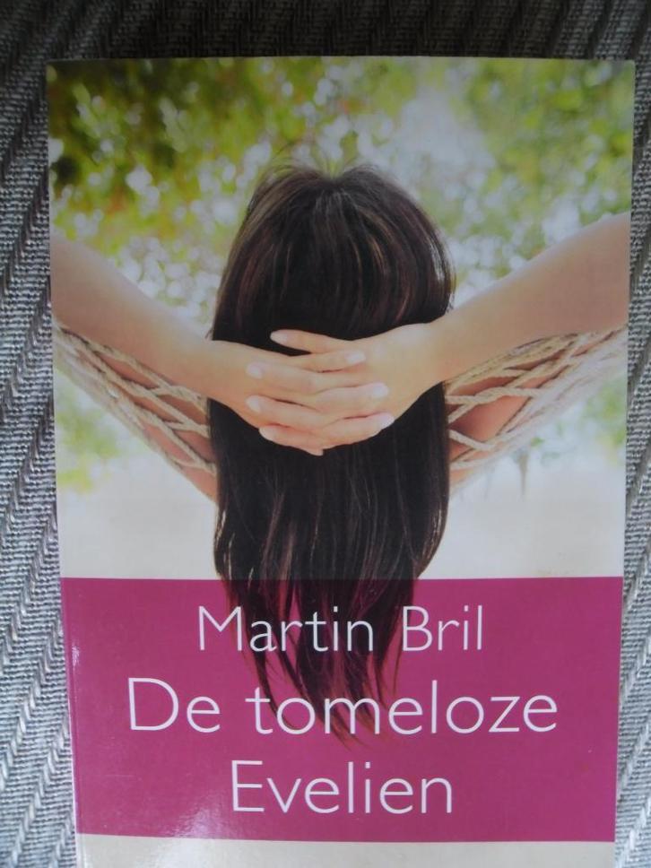 De Tomeloze Evelien-Martin Bril, Boeken, Romans, Zo goed als nieuw, Nederland, Ophalen