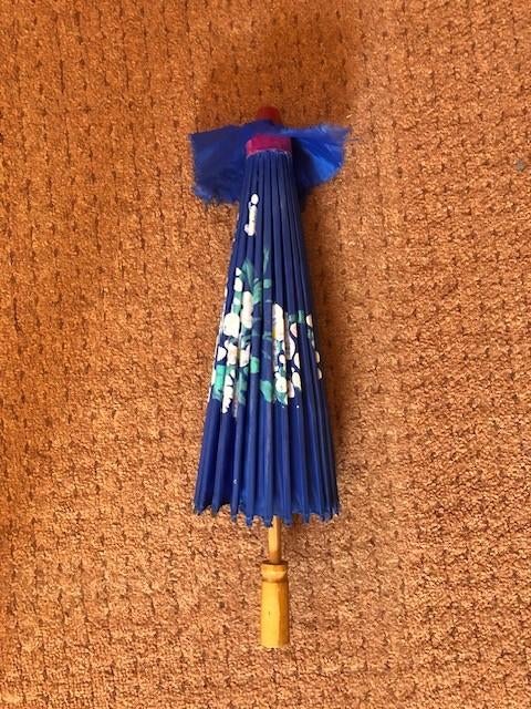 Paraplu, Sieraden, Tassen en Uiterlijk, Paraplu's, Ophalen of Verzenden, Nieuw, Blauw