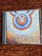 AFGEPRIJSD David Sylvian - Gone to Earth CD, Cd's en Dvd's, Ophalen of Verzenden, Zo goed als nieuw