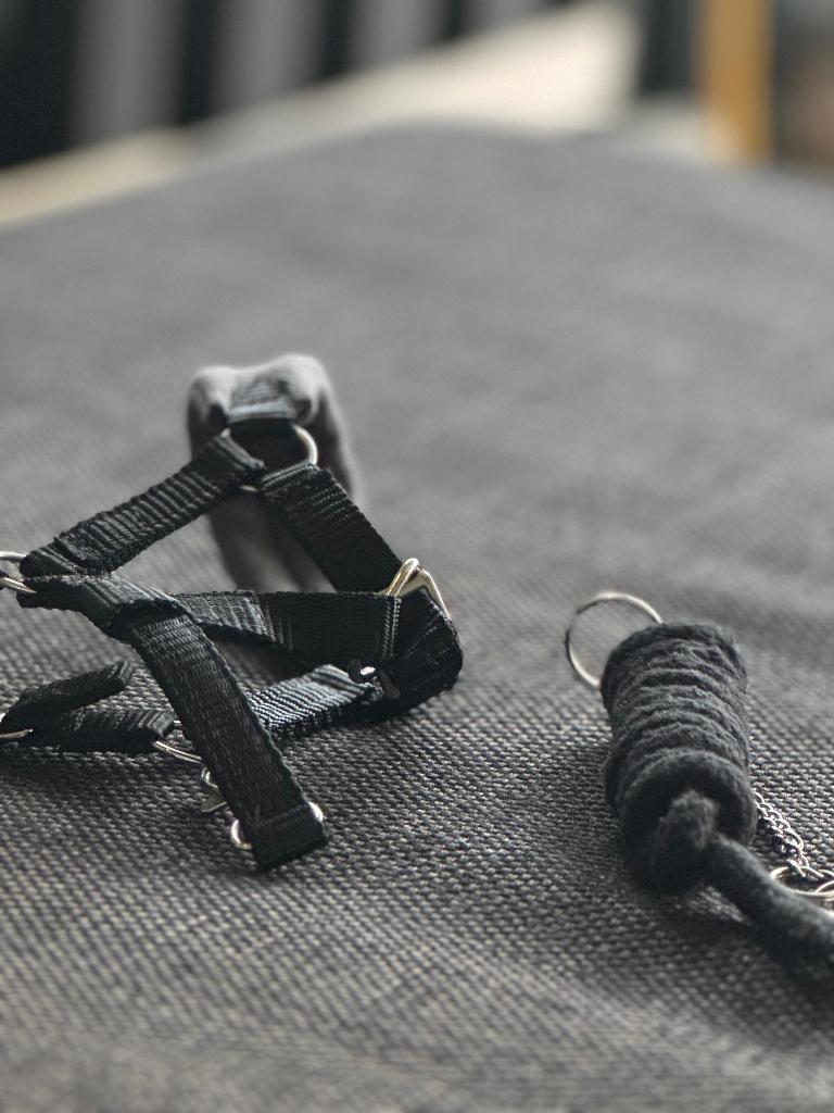 Hobby horse en halster met touw, Ophalen, Zo goed als nieuw