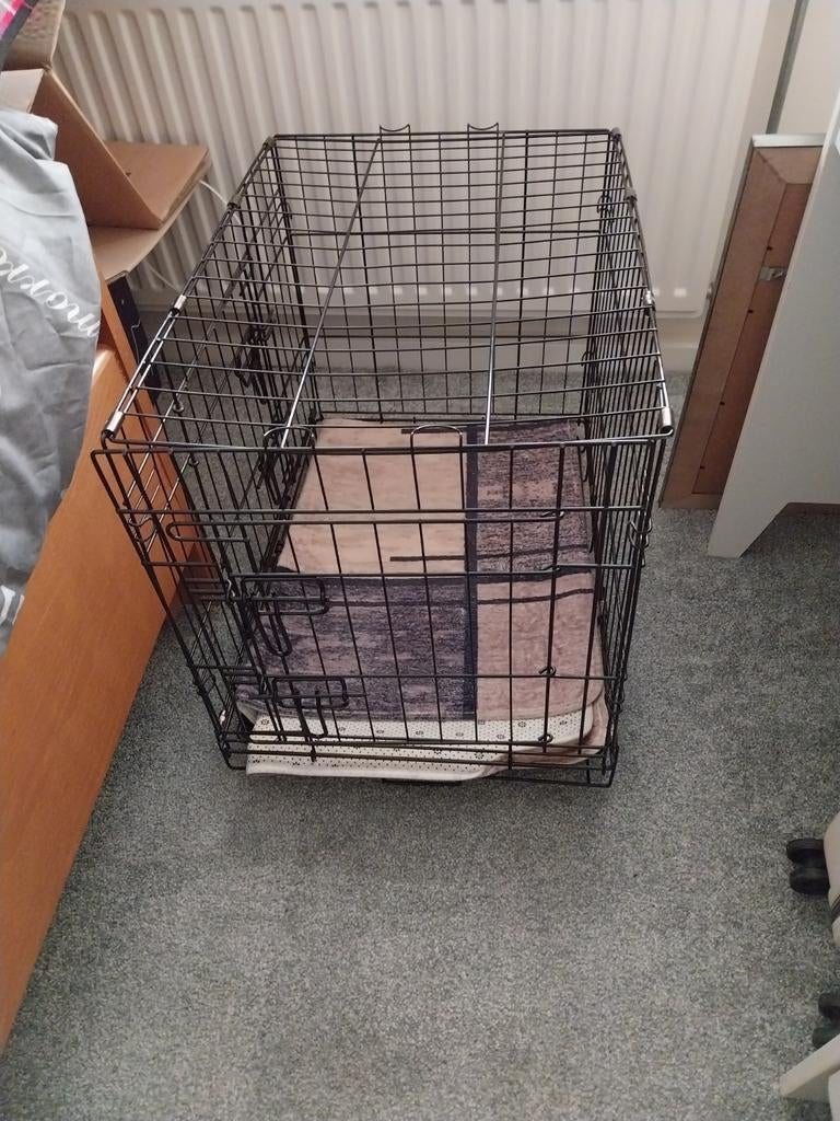 Hondebench voor klein hondje., Ophalen