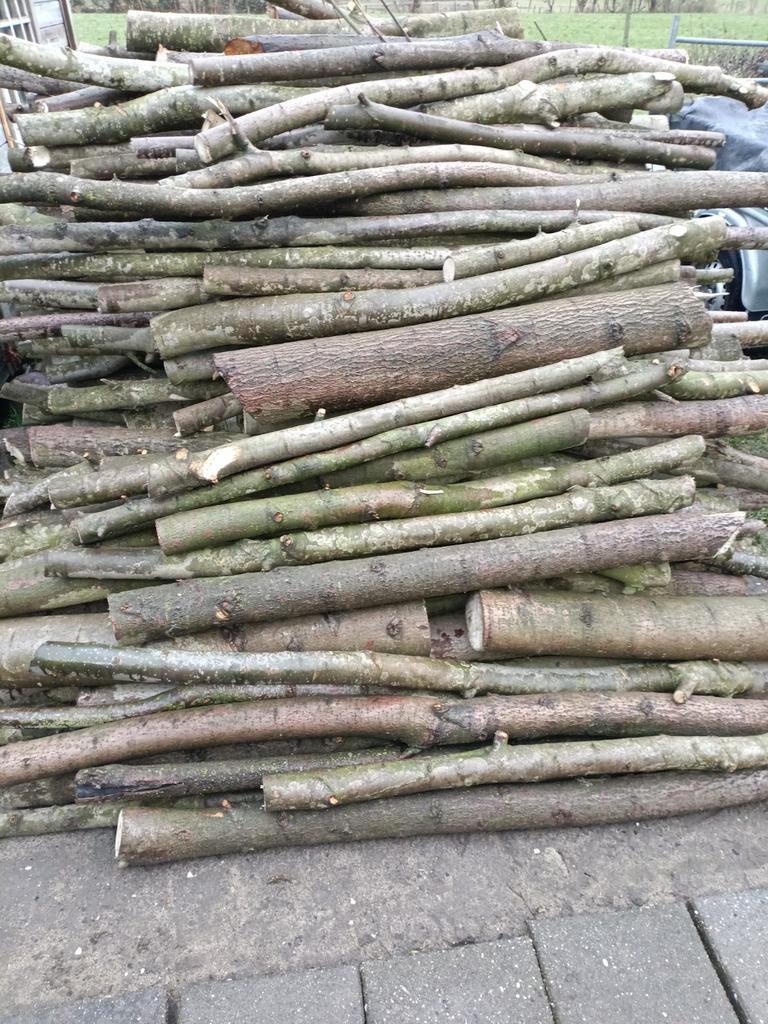 Verse populier stammen, Tuin en Terras, Haardhout, 3 tot 6 m³, Ophalen, Overige houtsoorten, Stammen