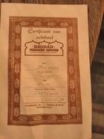 Prachtig Perzisch tapijt - Handgeknoopt Bochara (Pakistan), 150 tot 200 cm, 200 cm of meer, Klassiek, Oosters, Traditioneel, Perzisch