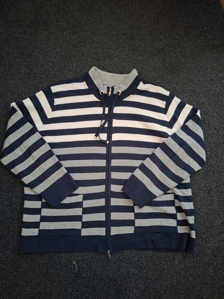 Damesvest Maat 46 - Katoen/Acryl met Deelbare R, Kleding | Dames, Truien en Vesten, Gedragen, Maat 46/48 (XL) of groter, Blauw