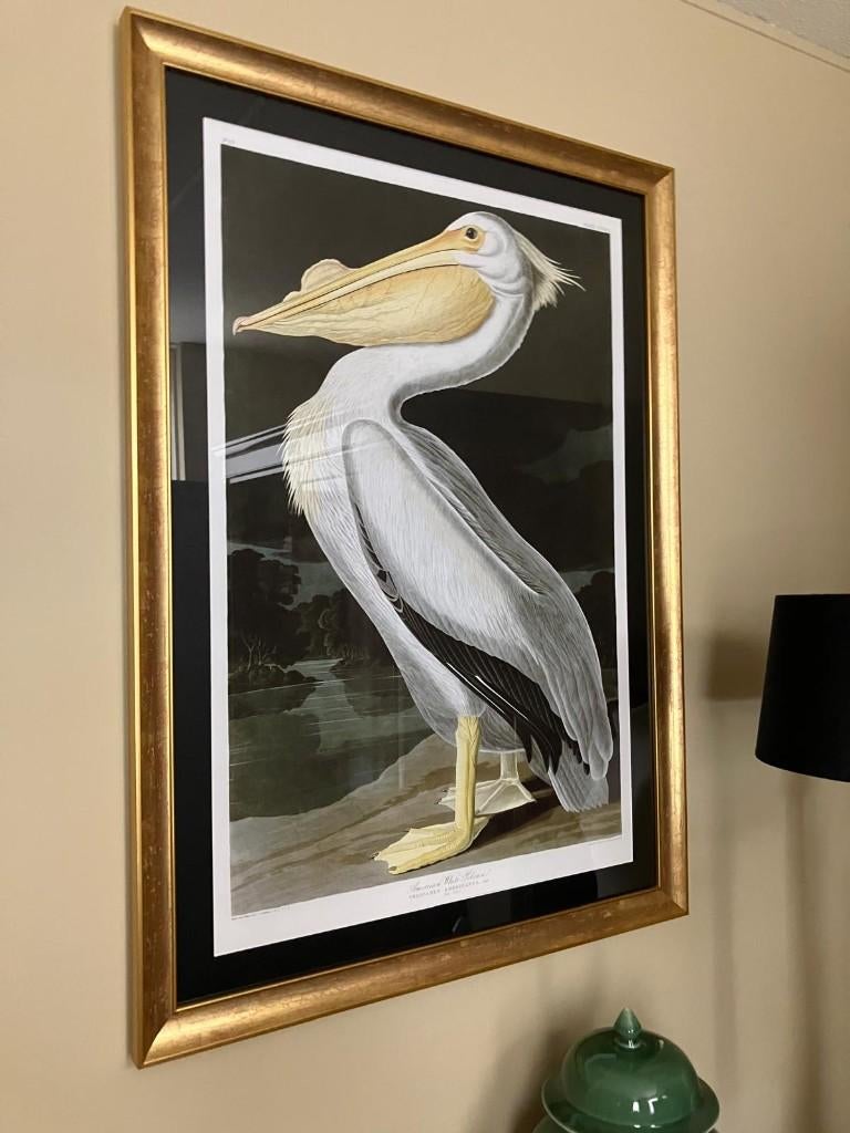 G&C Interiors Schilderij pelikaan van Audubon 107x77 cm., Ophalen, Nieuw, Schilderij, 75 tot 100 cm