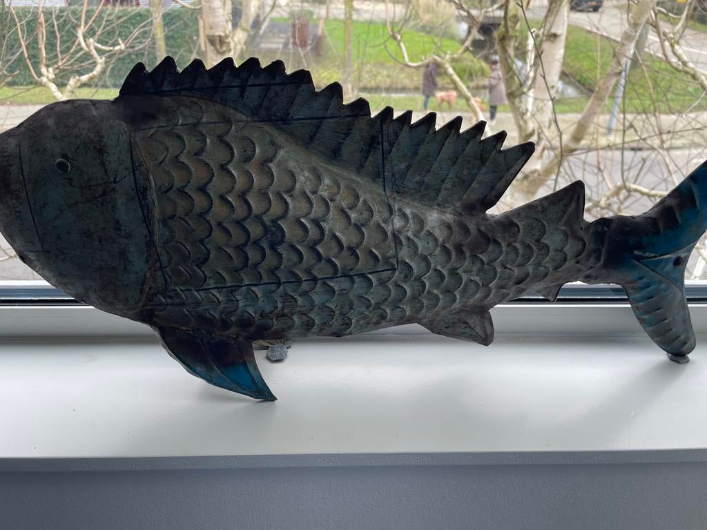 Vis, Ophalen of Verzenden