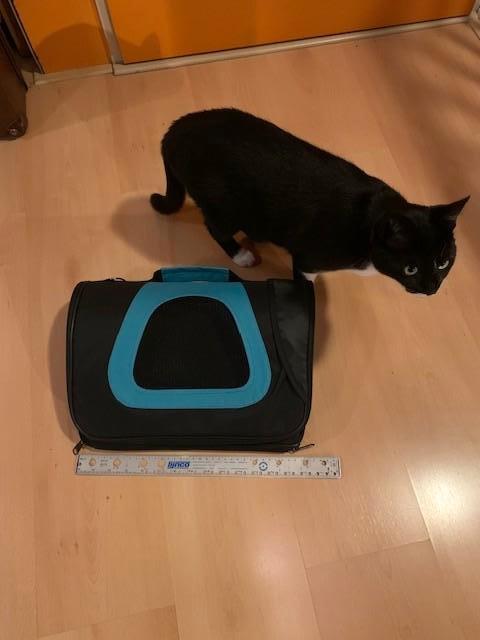 Katten vervoer tas (airline approved), Ophalen, Zo goed als nieuw