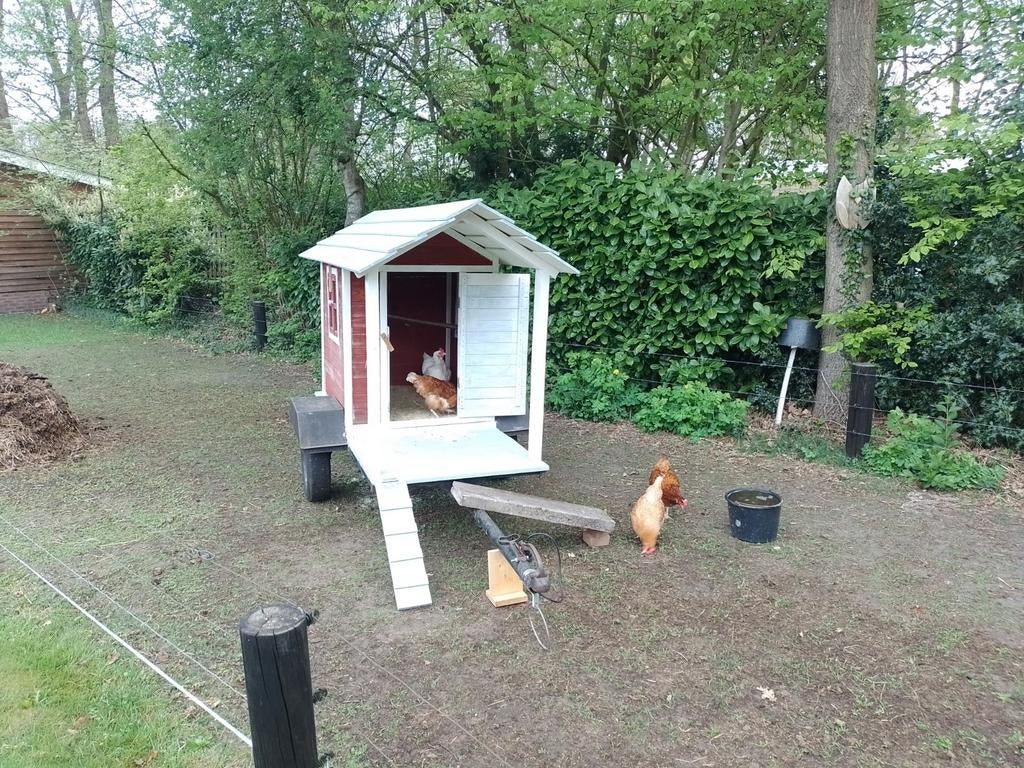 Mobiel kippenhok of geitenhok, Ophalen